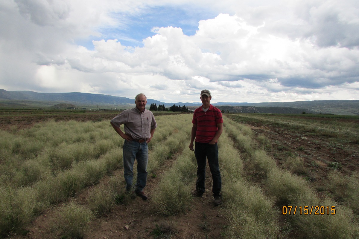 Two men standing in a field, posing for a picture.