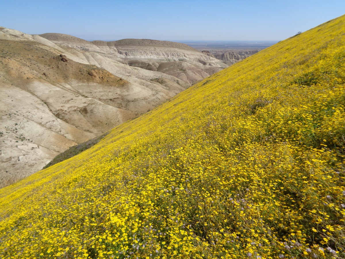 Monocline Ridge (Monvero Dunes ACEC)