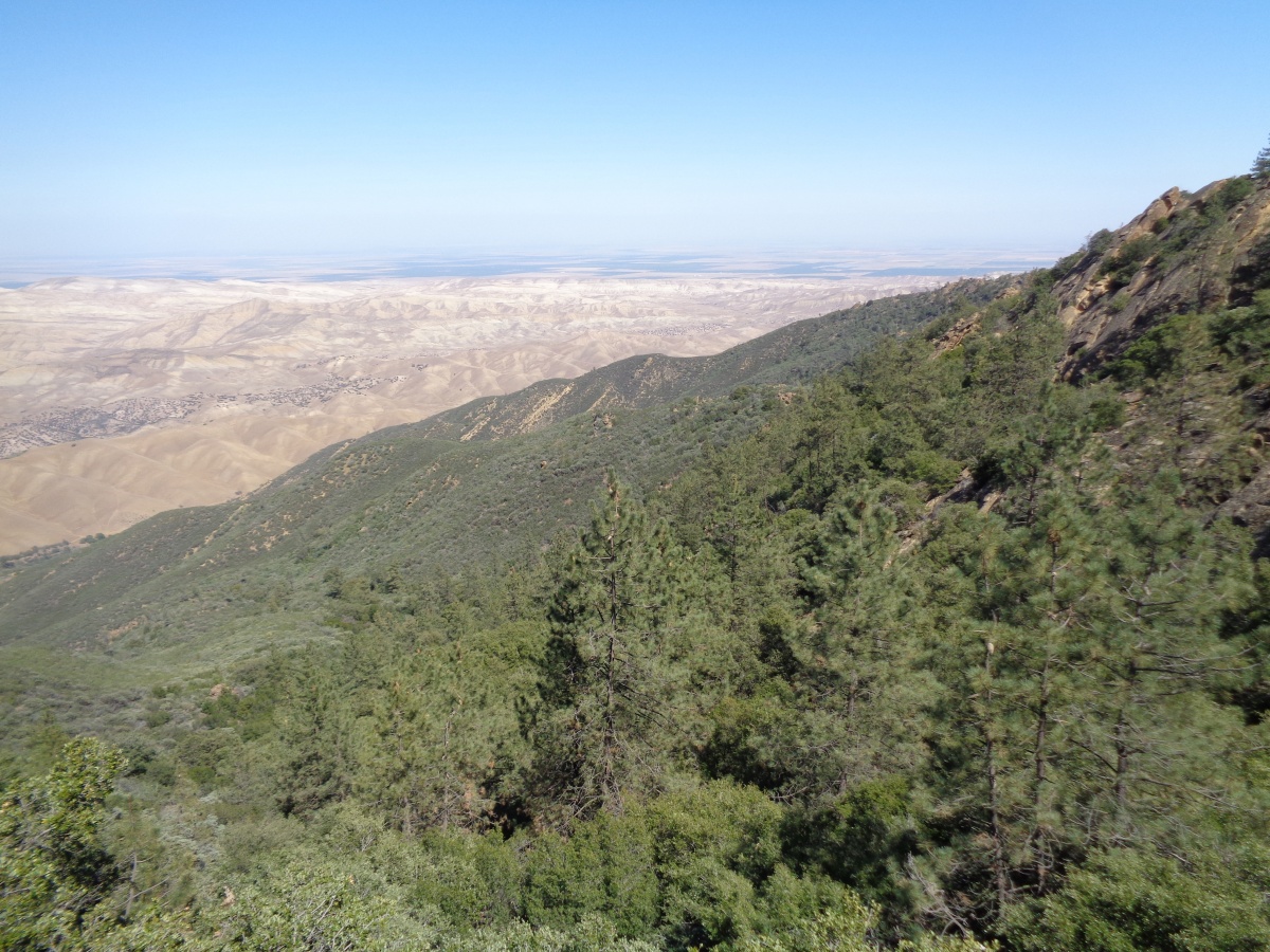 California Native & Special Status Plants Bureau of Land Management