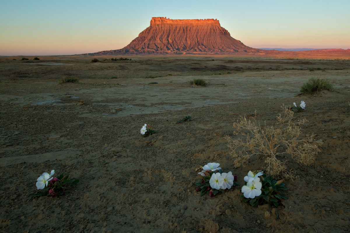 Scenic photo of Factory Butte at sunset. 