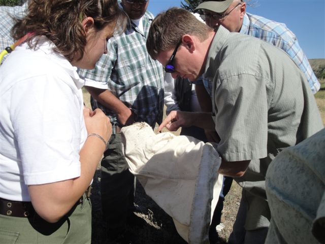 joey milan is a regional biological control specialist