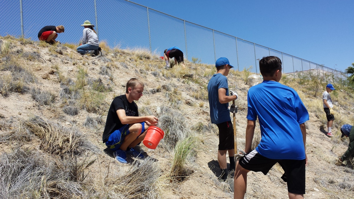 Volunteers plant native grasses at Laughlin High School.
