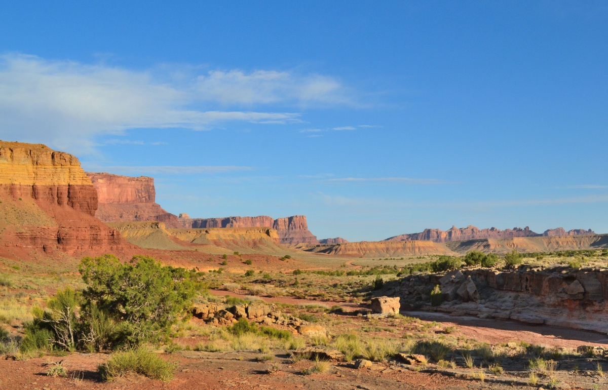 utah weeds