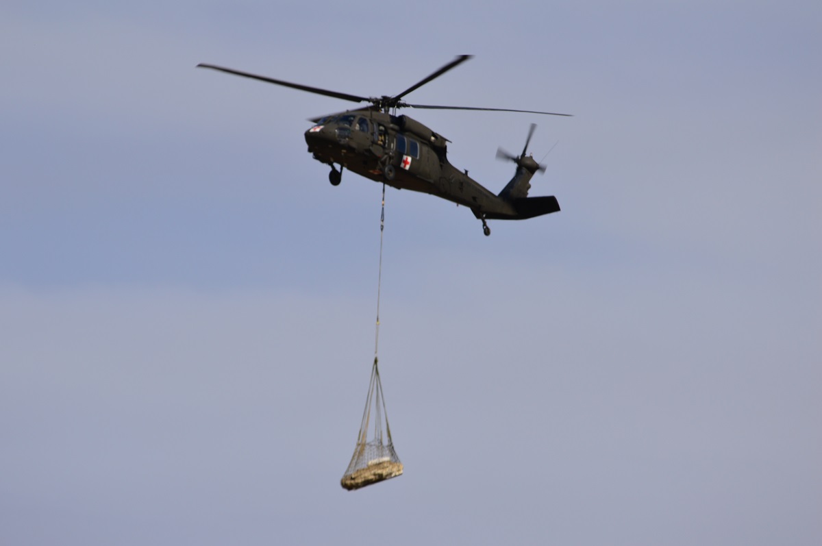 The 90 million year old Adocus is uncovered and prepared for transport to Albuquerque