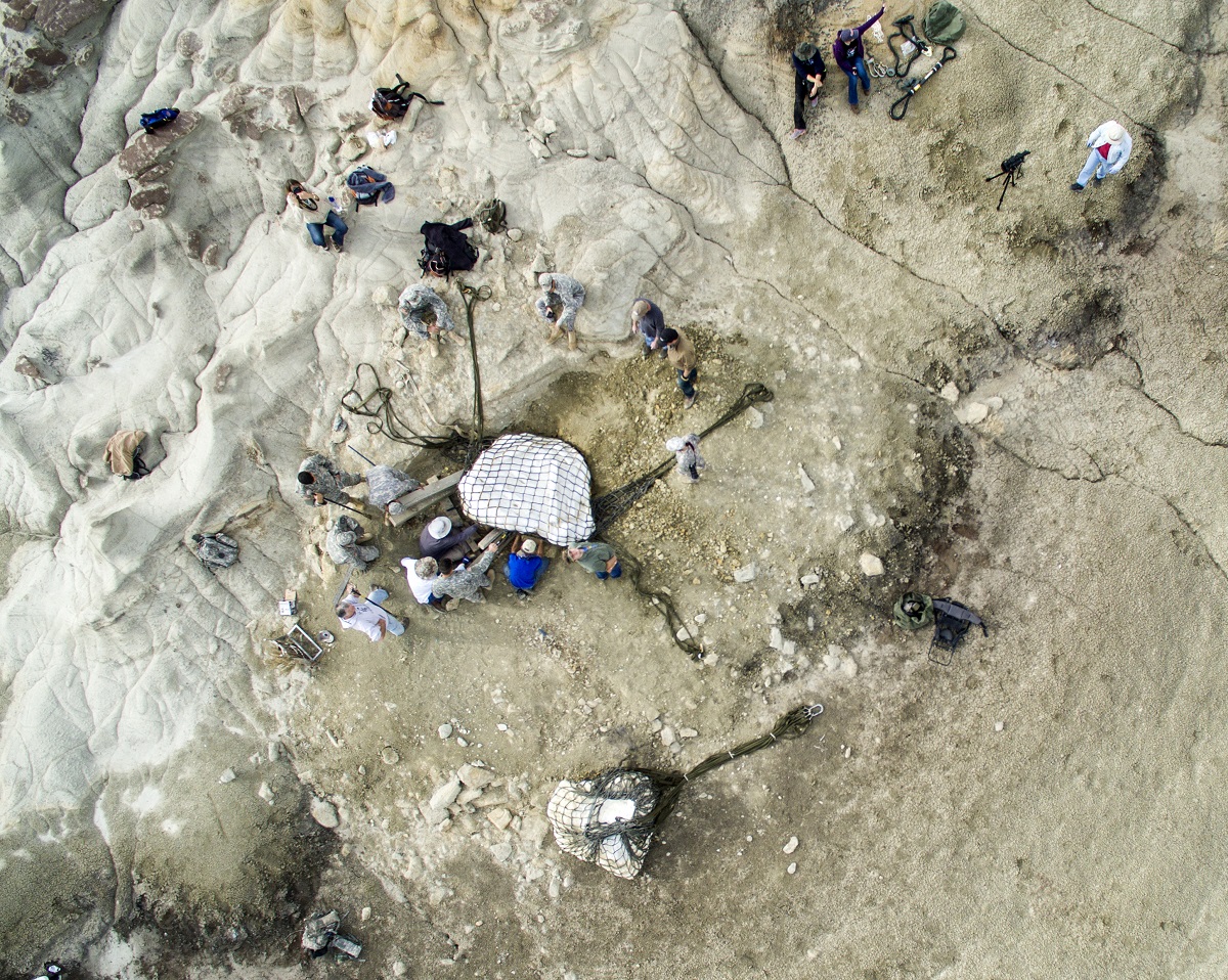 Bird's eye view of dig site