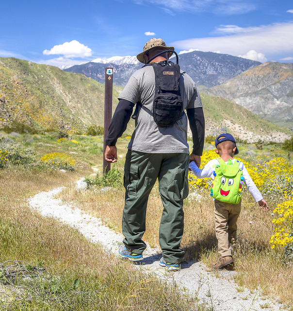A Father leads his son down the Pacific Crest Trail. Bright yellow Encelia flowers surround them and in the background, the snow-capped peak of San Gorgonio is visible. Photo by Bob Wick, BLM.