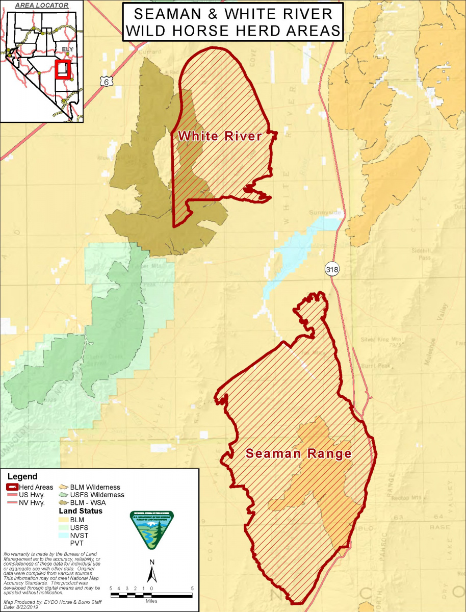 Programs: Wild Horse and Burro: Herd Management: Gathers and Removals ...