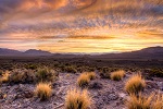 National Conservation Lands thumbnail