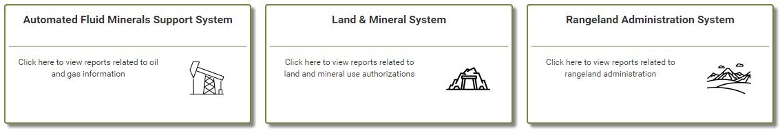 Screenshot of reporting application page, BLM photo