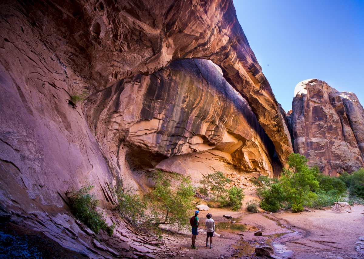 Utah - Wildlife  BUREAU OF LAND MANAGEMENT