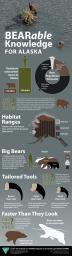 Bearable Knowledge for Alaska Infographic covering polar, brown, and black bears with 2020 data.
