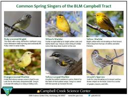 Common Spring Singers of the BLM Campbell Tract sheet