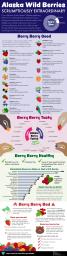 Alaska Wild Berries Infographic showing the good berries, a few berries taste like, the health benefits, and the bad berries and safety tips.