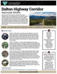 Dalton Highway Watchable Wildlife Sheet
