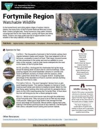 Fortymile Region Watchable Wildlife Sheet