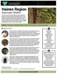 Haines Region Watchable Wildlife Sheet