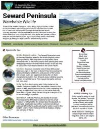 Seward Peninsula Watchable Wildlife Sheet
