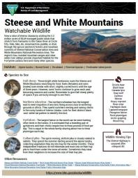 Steese and White Mountains Watchable Wildlife Sheet