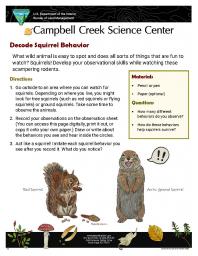 Campbell Creek Science Center Decode Squirrel Behavior Nature Learning Activity