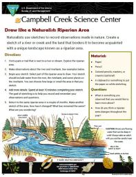 Draw Like a Naturalist: Riparian Area Activity sheet