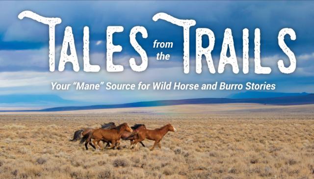 Wild horses running on a plain. Words read: Tales from the Trails. Your "mane" source for wild horse and burro stories