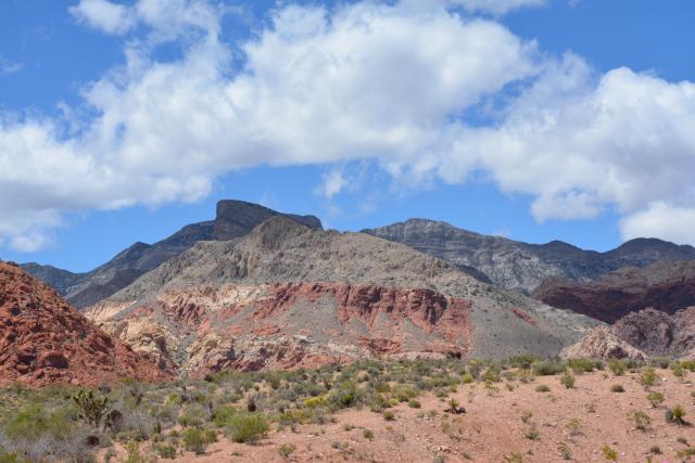 Wide view of Calico Basin in Red Rock Canyon National Conservation Area