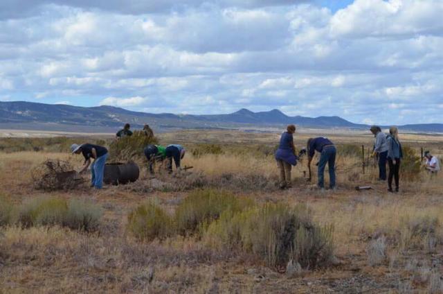 volunteers stand in high desert landscape working on removing old fence posts