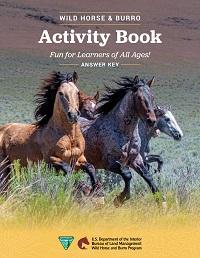 Cover of the answer key to the activity book, showing horses running on a plain. 