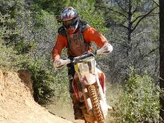 Dirt bike in a pine forest.