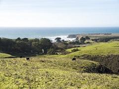 A green pasture with the Pacific Ocean in the background. Photo by Salah Ahmed, BLM.