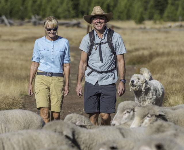 Hikers with sheep on the trail