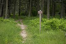 Rocky trail leading off through green grass and a forest of trees. A sign to the right of the trail says "Entering Public Lands".