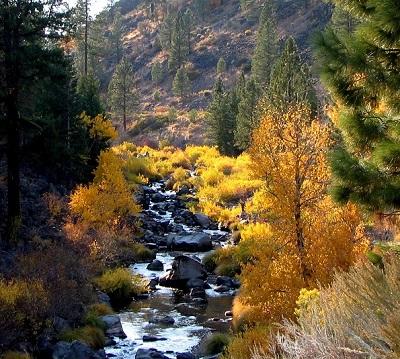 Fall colors along a river. Photo by Jeff Fontana, BLM.