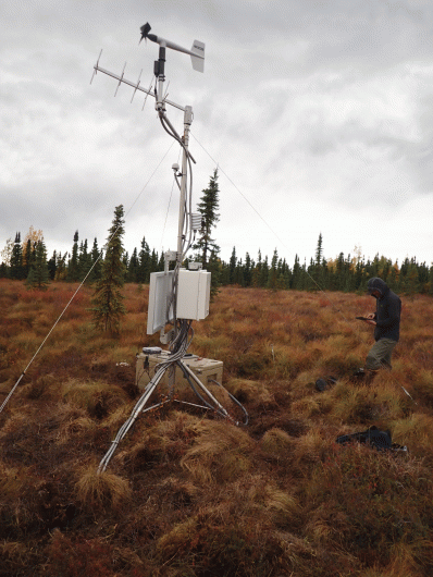 Man standing next to monitoring station