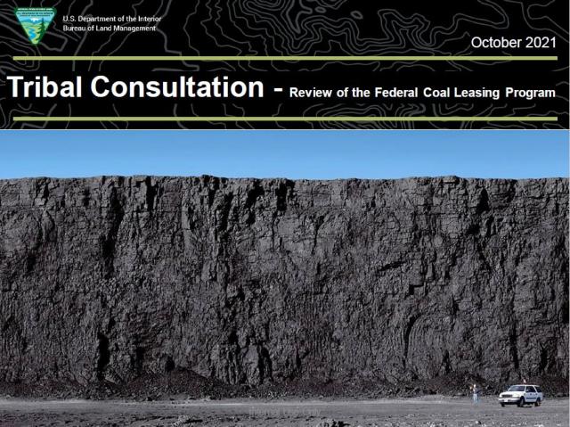 Large wall of coal with white truck in bottom left and person standing next to it.