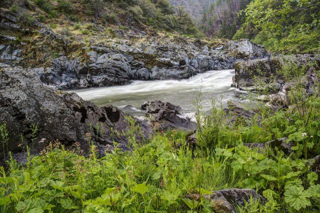 The Rogue River flows through southwest Oregon