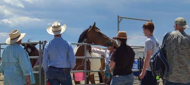 People around a corral with a horse