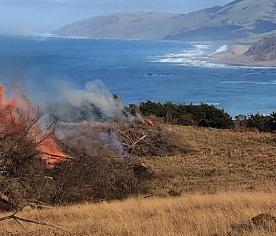 Controlled burn pile next to the ocean