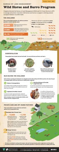 Infographic explaining the Wild Horse and Burro Program