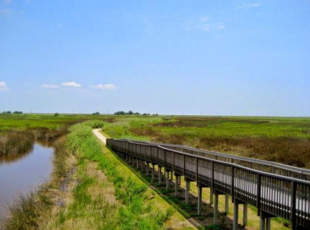 Wetland trail in Sabine National Wildlife Refuge
