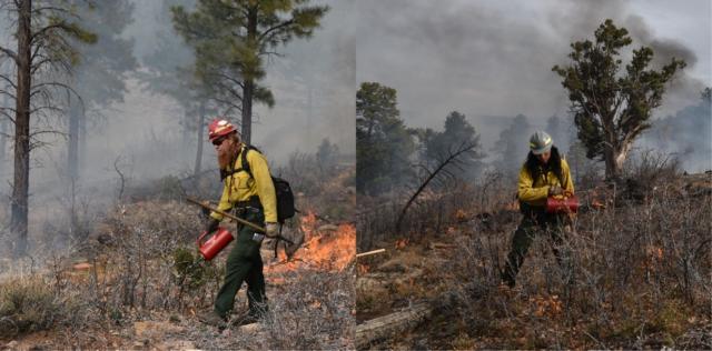 Two photos of firefighters standing with torches. Large trees, smoke, and small fires are behind them.