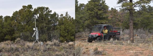 Left: A temporary weather monitoring station surrounded by a wire fence with trees in the background. Right: A firefighter sitting in a utility vehicle next to a large tree and surrounded by brush overlooking part of the area to be burned.