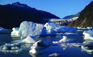 Icebergs calved from Mendenhall Glacier