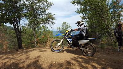 Dirt bike in the forest