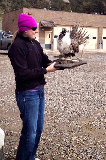Woman holds a greater sage grouse statue.