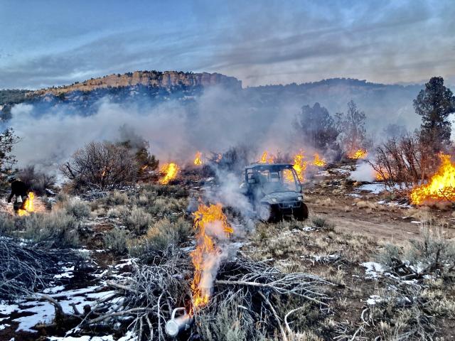 A UTV drives on a road surrounded by lit burn piles.