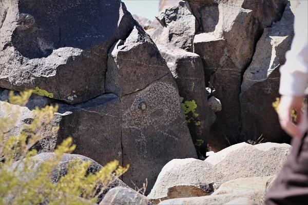 One of the more than 21,000 glyphs of birds, humans, animals, fish, insects and plants, as well as numerous geometric and abstract designs, are scattered over 50 acres of New Mexico's northern Chihuahuan Desert at the Three Rivers Petroglyph National Monument site.