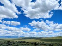 green landscape with puffy clouds 