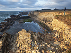 Man overlooking the blue ocean from the rocks at Point Arena. Photo  by Bob Wick, BLM.