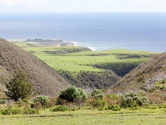 Image of Cotoni-Coast Dairies Unit. Photo by Jim Pickering, BLM. 